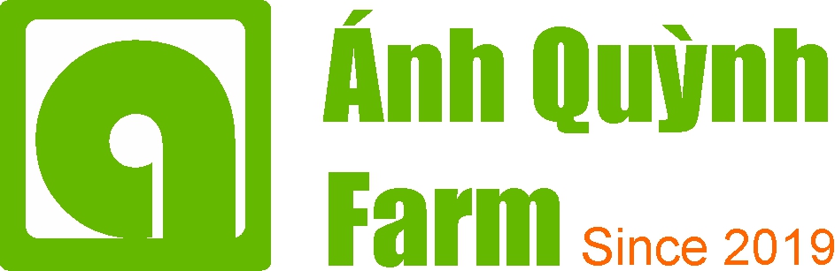 logo 1 2025