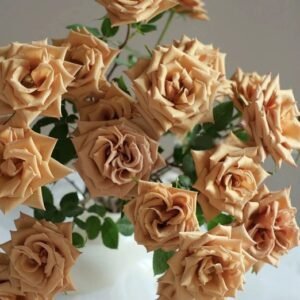 hoa hồng bụi cafe toffee