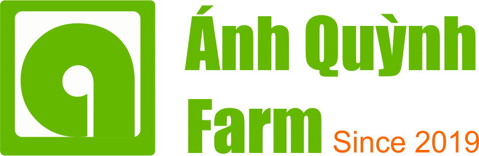 cropped logo 2025.png